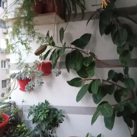 Holiday Apartment Shengjin Dom wakacyjny *