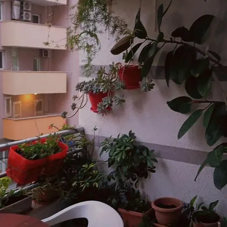 Holiday Apartment Shengjin بيت للعطل Shëngjin