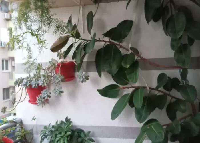 Holiday Apartment Shengjin Dom wakacyjny *