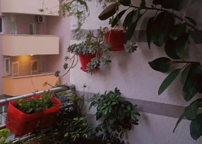 Holiday Apartment Shengjin Dom wakacyjny Shëngjin